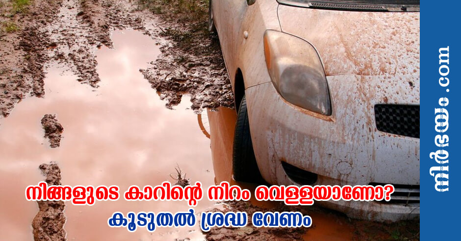 cars-in-white-problems