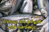 benefits-of-fish-foods