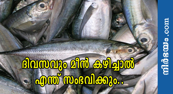 benefits-of-fish-foods