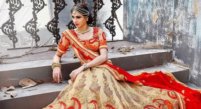 delhi-girl-lehenka-case