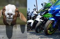 goat-free-with-new-bike-in-tamilnadu
