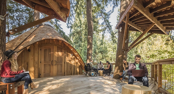 microsoft-built-tree-houses-for-its-employees