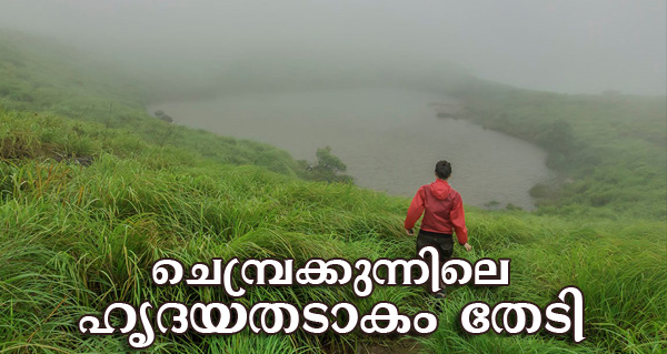 trip-to-chembra-peak-wayanad