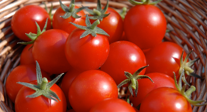 tomato-price-in-pakistan-high