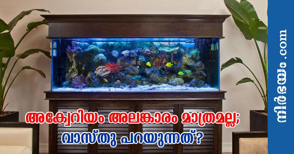 vaastu-tips-place-aquarium-at-home