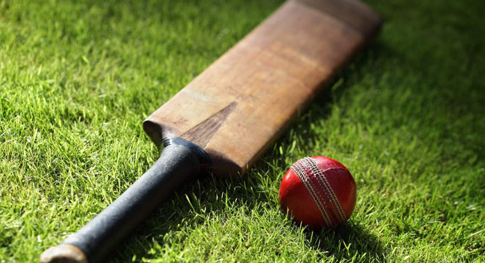 india-srilanka-jail-department-members-cricket-match