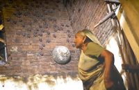bat-lady-of-india-rajpura-gujarat