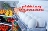 eggs-in-refrigerator