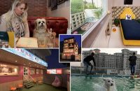 first-exclusive-dog-hotel-opened-in-gurugram