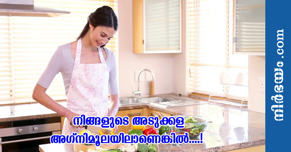 vastu-kitchen-in-agnimoola-2