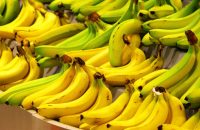 banana-farmer-issue-kerala