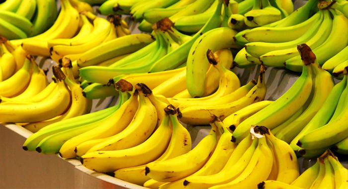 banana-farmer-issue-kerala