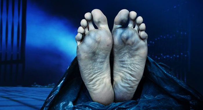 what-happen-to-our-body-after-death