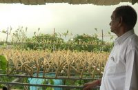 birdman-gujarat-feeding-birds