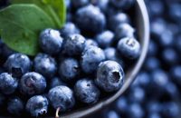 blueberry-cervical-cancer-treatment
