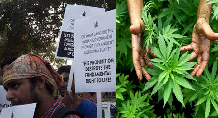 strike-all-over-india-marijuana-legal