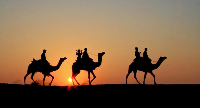 camel-safari-in-india-rajasthan
