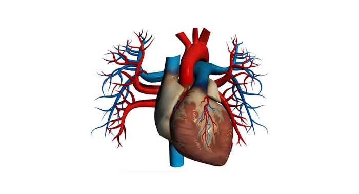 two-hearts-in-one-body-operation-success-in-apollo-hospital-hydrabad