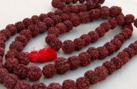 benefits-of-wearing-rudraksha
