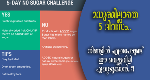 5-day-no-sugar-challenge