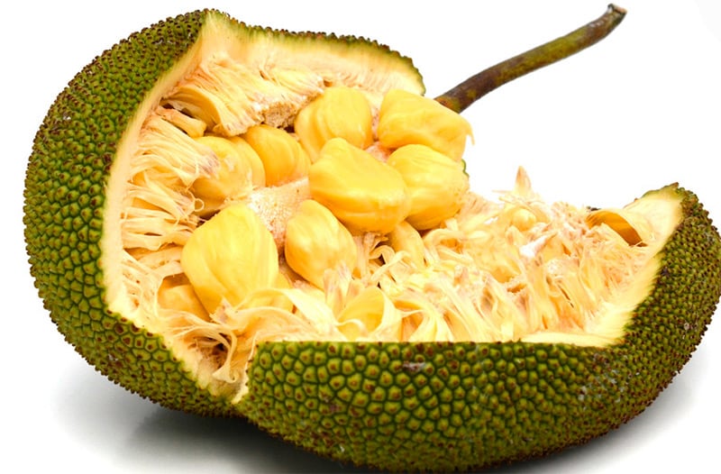jackfruit-declared-as-keralas-official-fruit