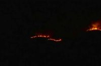 fire-in-theni-forest-9-people-dead-many-injured-near-munnar-forest