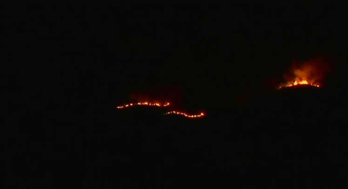fire-in-theni-forest-9-people-dead-many-injured-near-munnar-forest