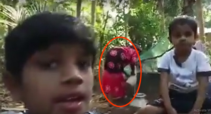 the-grandmother-fell-in-to-the-well