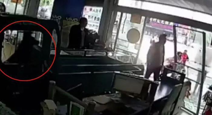 dog-driven-vehicle-causes-accident