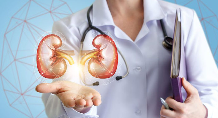 kidney-stone-and-kidney-protection-in-simple-way-using-natural-remedies