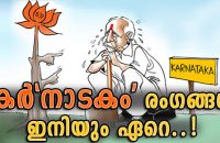 karnataka-election-immpact