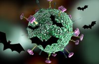 nipah-virus-two-more-person-in-hospital