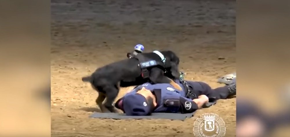 video-of-police-dog-performing-cpr-goes-viral