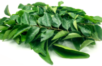 benefits-of-curry-leaves-2