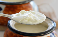 health-benefits-of-drinking-one-cup-curd-daily