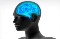 bigger-brains-linked-to-higher-cancer-risk