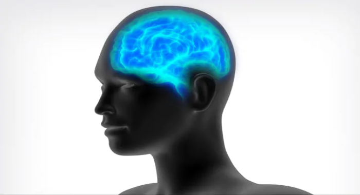 bigger-brains-linked-to-higher-cancer-risk