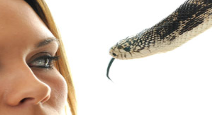 snake-comes-in-dreams