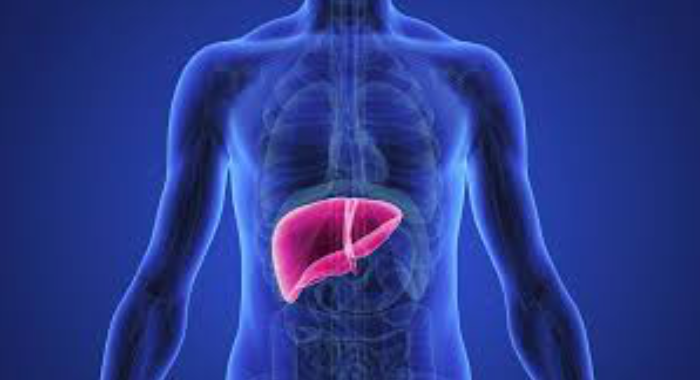 natural-remedies-liver-diseases