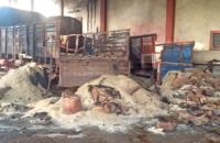 flood-damaged-rice-at-tamilnadu