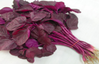 red-spinach-health-benefits