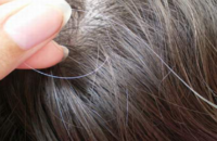 does-plucking-grey-hair-result-more-growing-back