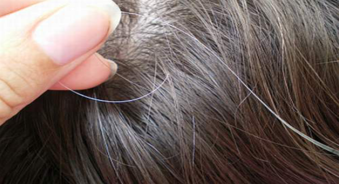 does-plucking-grey-hair-result-more-growing-back