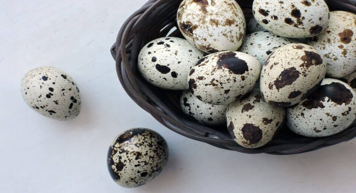 quail-eggs-health-benefits