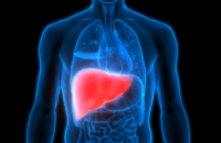fatty-liver-health-issues