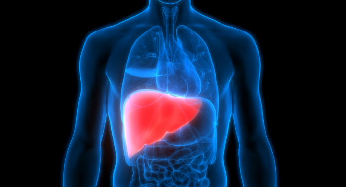 fatty-liver-health-issues