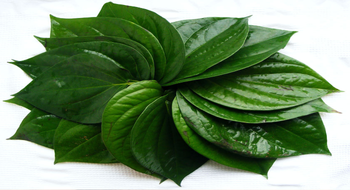 significance-of-betel-leaf-in-hindu-customs