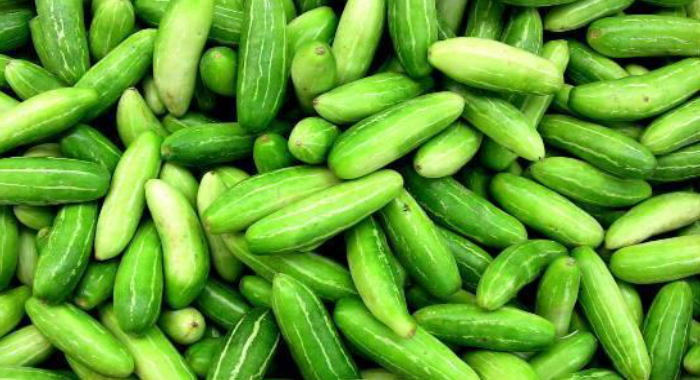 how-to-use-ivy-gourd-to-control-diabetes