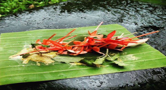 how-to-receive-prasadam