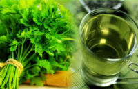 coriander-leaves-juice-for-weight-loss